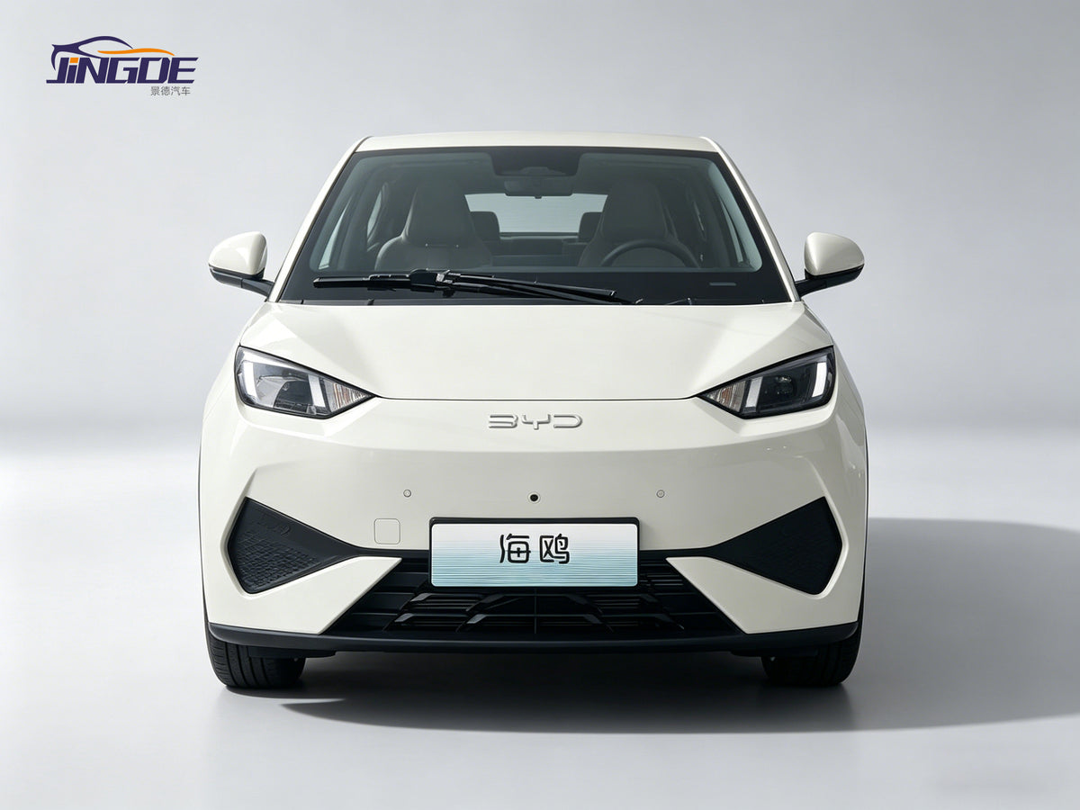 BYD (Seagull)